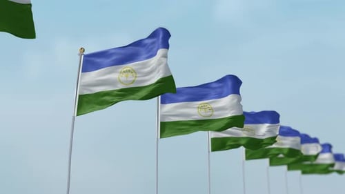 Bashkortostan Flags Waving in the Wind under Blue Sky