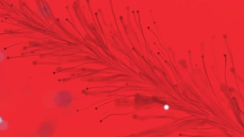 Concept de haute technologie de fibre numérique de fond abstrait de ligne