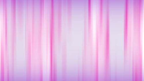 Abstract Pink Purple Fluid Lines Looping Background