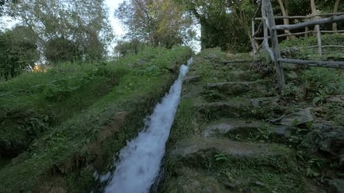 Small spring flowing