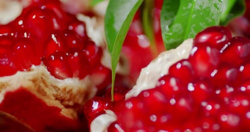 Pieces of Pomegranate with Leaves Slowly Rotate.