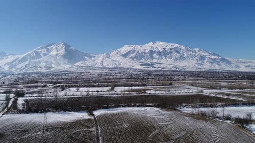 Winter Field