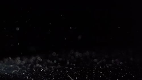 Abstract Bokeh Lights on Black Background