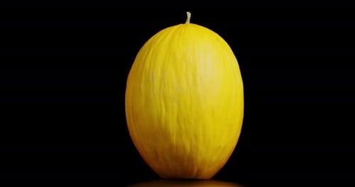 Reife ganze Melone rotiert langsam.