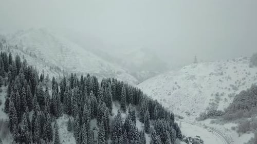 The winter forest in the mountains is covered with fresh snow. Snow falls in the forest.