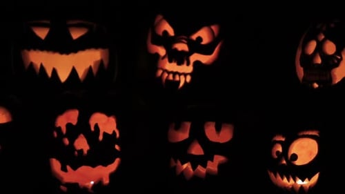 Glowing in the dark spooky Jack-o-lanterns carved from real pumpkins.