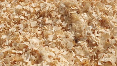 Haufen Holzschneidemaschinen langsam schwenken 4K 2160p 30fps UltraHD-Aufnahmen - Holzsägemehl auf dem Boden sh