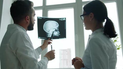 Doctors Colleagues Studying X-ray Image of Skull Working in Hospital Talking