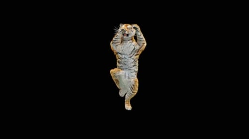 Tiger-Tanz HD