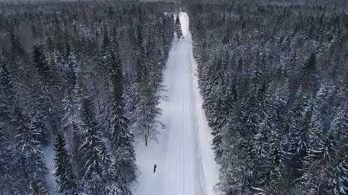 Aerial view of a car reversing in the snowy forest in Estonia