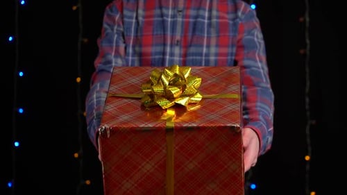 Birthday Gift Box Plaid and Bokeh Lights