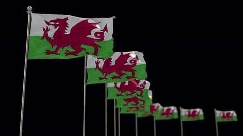 Animated Waving Welsh Flags on Black Background