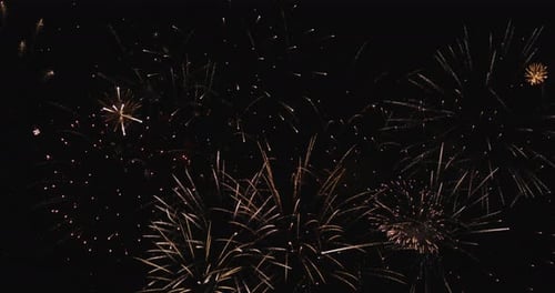 Firework