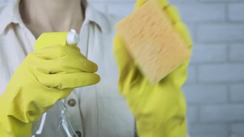 Woman Cleaning Glass Surface with Spray and Sponge