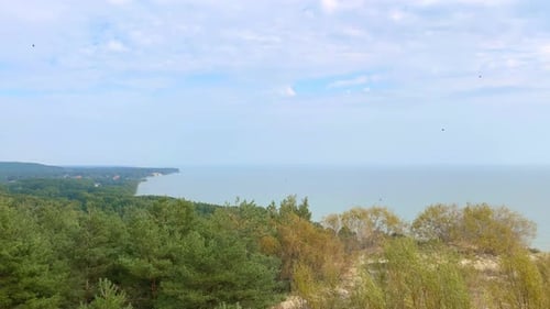 Panorama From the Observation Deck to the Forest the Sea Clouds