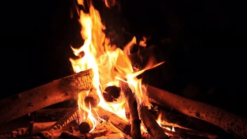 Brightly Burning Campfire in the Dark of Night