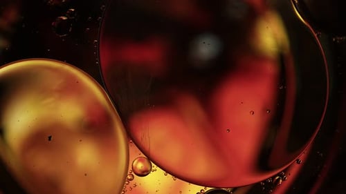 Abstract Colorful Food Oil Drops Bubbles 88