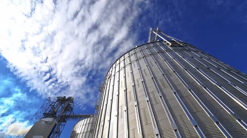 Grain Silos Towering Against a Blue Sky