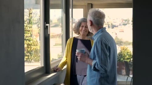 Mature Couple Embracing Affectionately by a Window