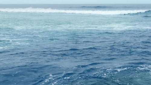 The Ocean