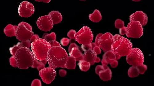 Dynamic Floating Raspberries Slow Motion