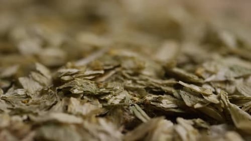 Rotating shot of barley and other beer brewing ingredients