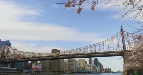 59 Street Bridge New York City Skyline