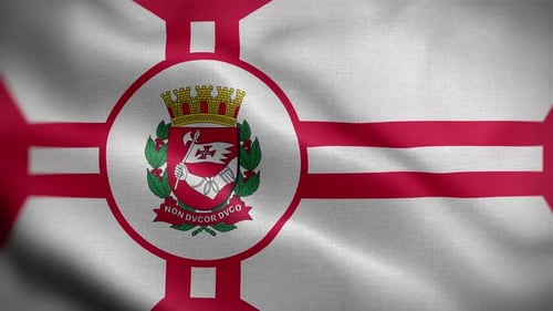 Waving Flag of São Paulo City, Brazil