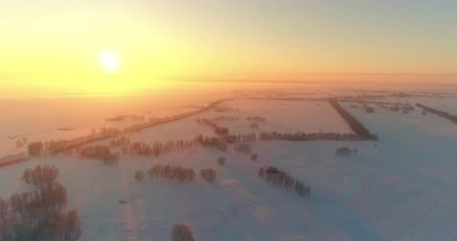 Aerial Drone View of Cold Winter Landscape with Arctic Field, Trees Covered with Frost Snow and