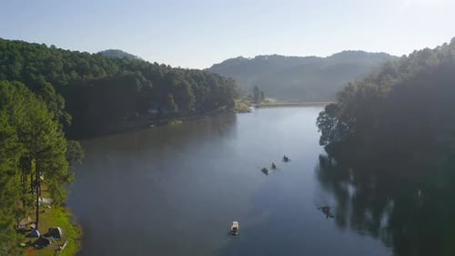 Luftaufnahme von oben auf Waldbäume mit See oder Fluss im Reise- und Umweltkonzept.
