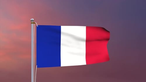 Realistic French Flag Waving Animation