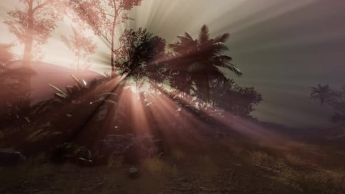Dynamic Sun Rays Through Lush Tropical Trees