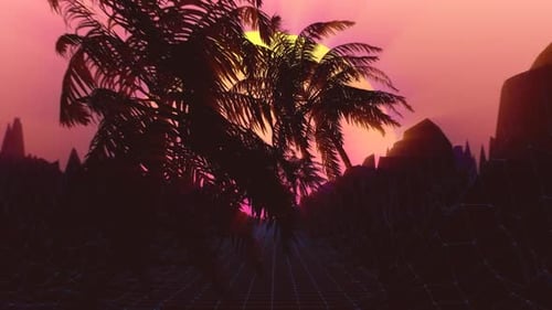 Palm Tree Sunset Transition