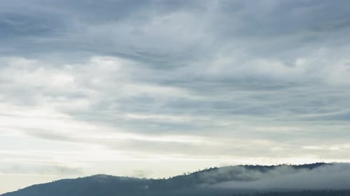 fluffy fog cloud flowing on natural forest mountain from time lapse sunrise cloudy sky