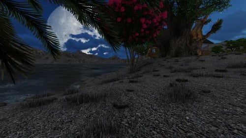 Home garden at night