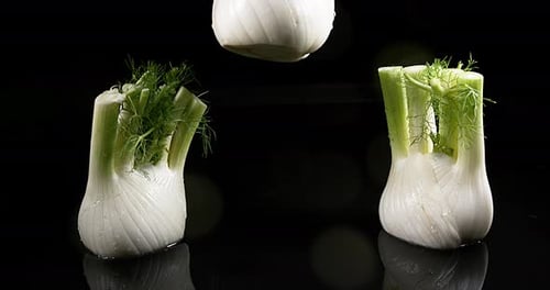 Fennel, foeniculum vulgare, Vegetable falling into Water against Black Background, Slow Motion 4K