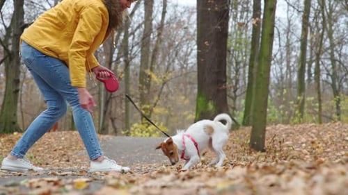 Woman with Dog Walk in Autumn Park