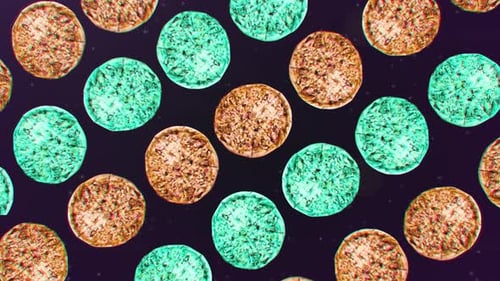 Seamless Looping Background of Colorful Abstract Pizza Pattern