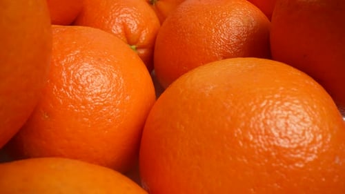 Fresh Oranges 31