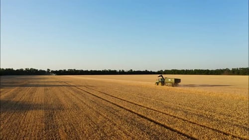 A Car for Transporting Grain Travels Through the Field