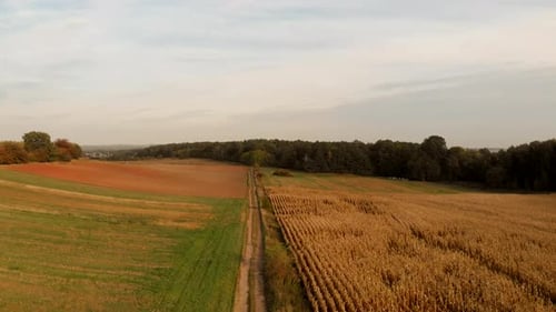 Flug über Felder bei Sonnenuntergang.