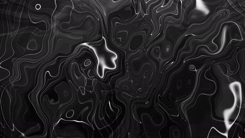 Abstract Fluid Black and White Lines Background Animation