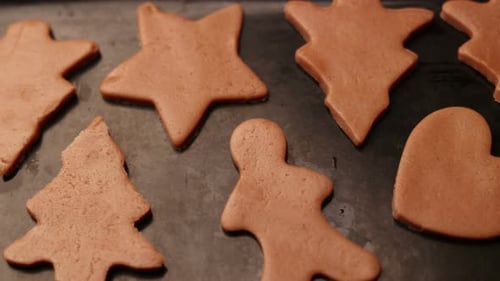 Close Up Gingerbread Cookies on Tray Ready to Bake