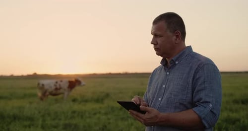 The Farmer Works in the Pasture Uses a Tablet
