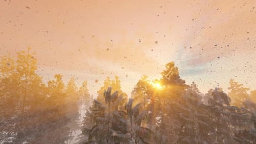Golden Sun Rays Breaking Through Snowy Winter Forest