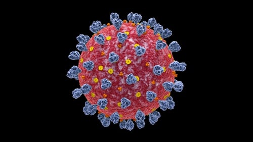 Rotating 3D Virus Particle Medical and Science Animation
