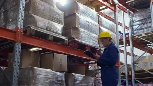 Warehouse Worker Inspecting New Merchandise