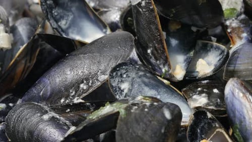 After meal bowl of common mussels close-up 4K 2160p 30fps UltraHD tilting footage - Empty shells pi