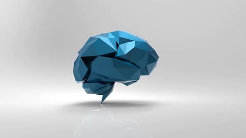 Brain design