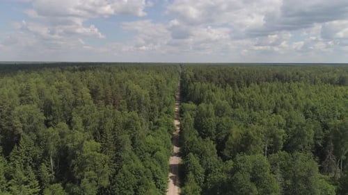 Flight Over the Green Forest.